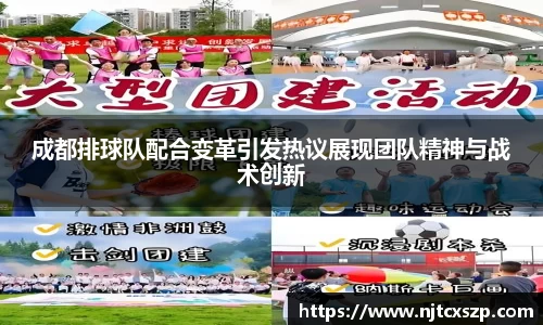 成都排球队配合变革引发热议展现团队精神与战术创新